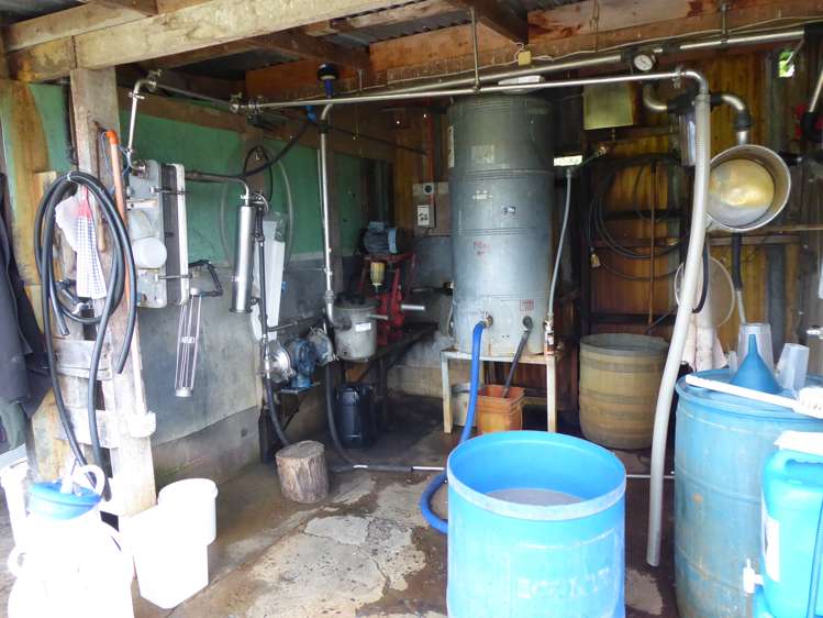 237 Kellow Road Rongotea_15