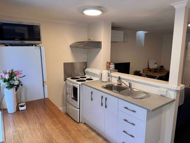 3B McKenzie Terrace Te Aro_4