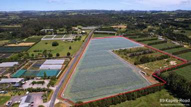 89 Kapiro Road, 108 Kapiro Road, 409 Kapiro Road and 147 Stanners Road_4