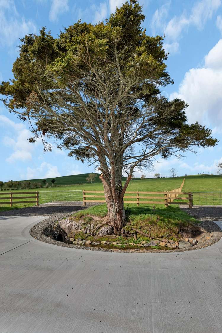 Lots 1 - 3 Draffin Road Poroti_17