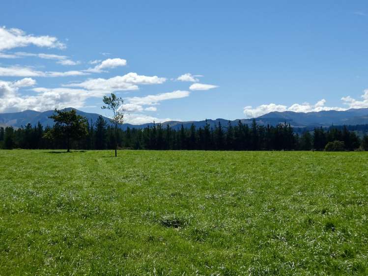 400 Keens Road Springfield_3