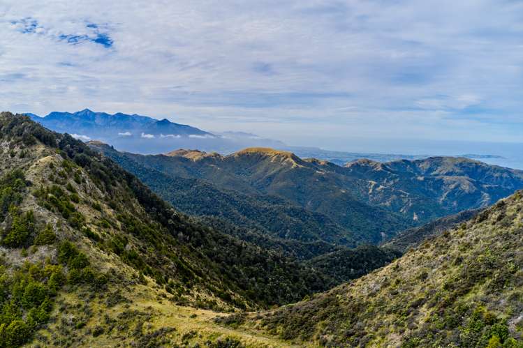 20 Moana Road Kaikoura_15