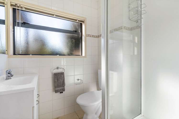 28 Carlton Street Hillsborough_22