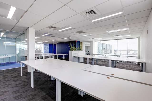 131 New North Road Eden Terrace_4