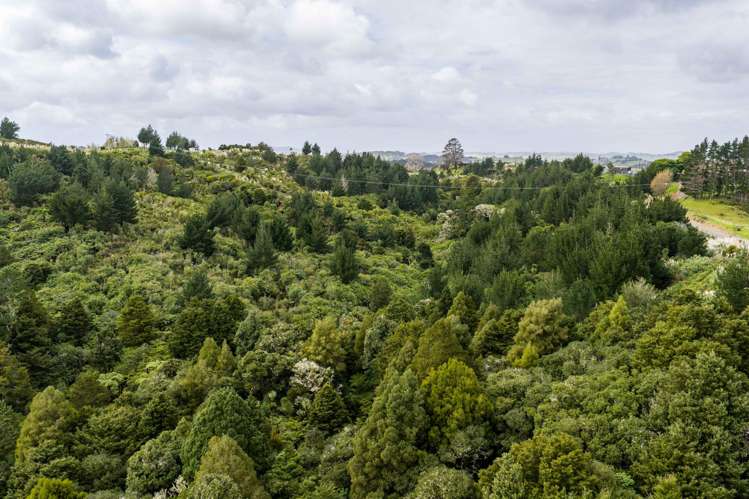 3044 Paparoa-Oakleigh Road, Paparoa Paparoa_24