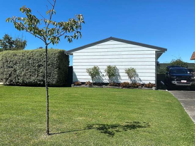 Beautiful and sunny 3BR home with large section!