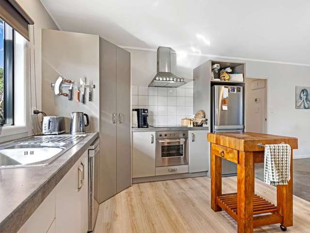 913a Albert Street Parkvale_4