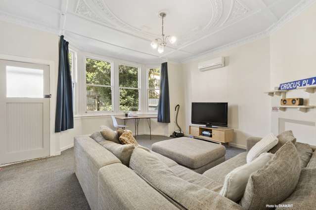 147 Aro Street Aro Valley_3