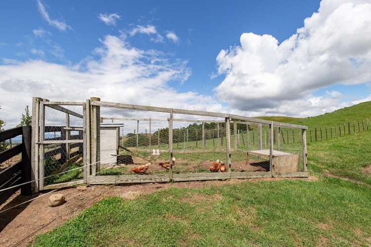 169 Torehape Road West Kaihere_32