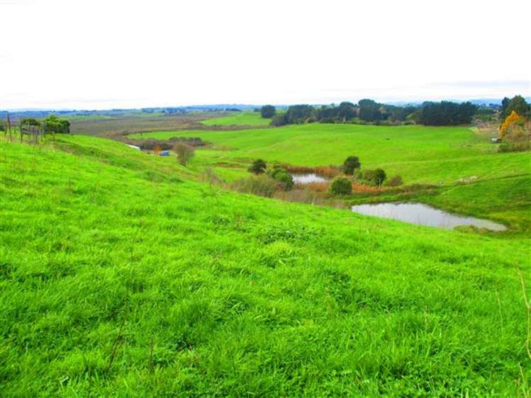 896a Glen Murray Road Rangiriri_7