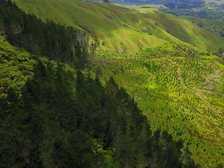 Lot 0 Te Rore Road Kaitaia_14