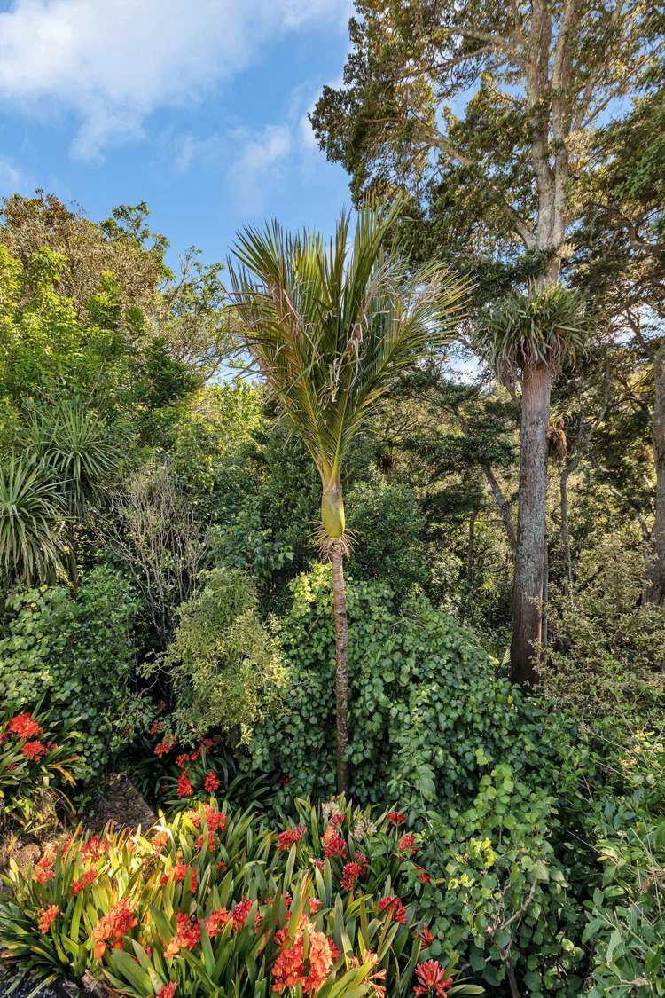 30 Kereru Street Maunu_17