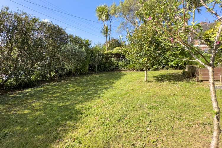 105 Campbell Road One Tree Hill_19