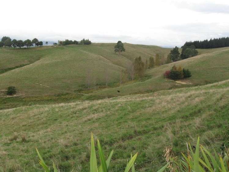 162 Malling Road Redwood Valley_17