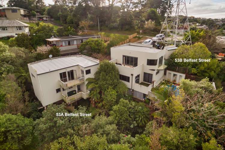 53a Belfast Street Hillsborough_2