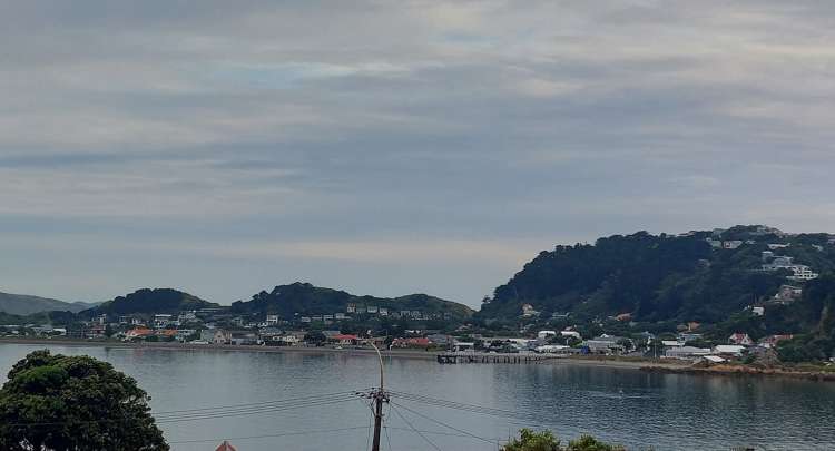 98 Awa Road Seatoun_13