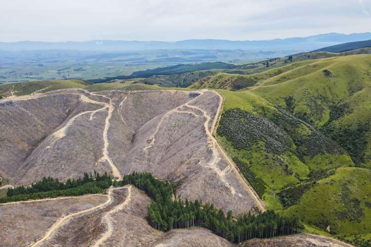 Mcintosh Road Geraldine_16