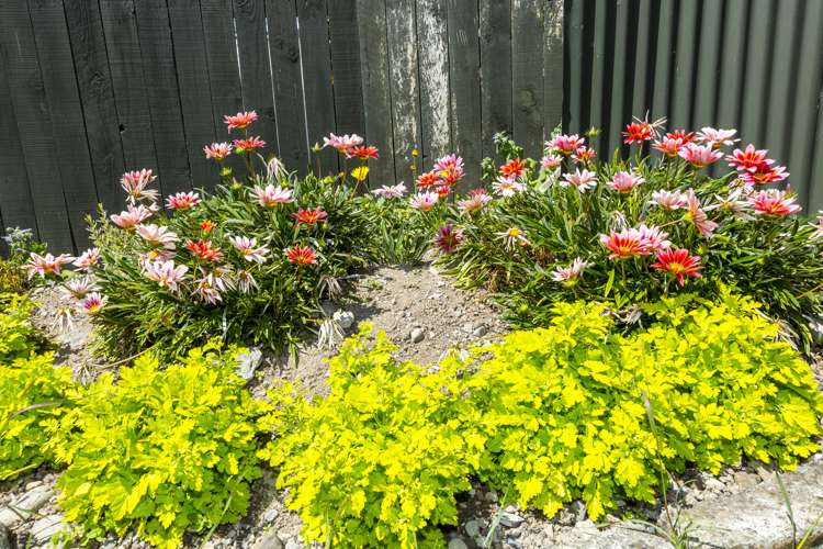 2/14 Clouston Park Road Ebdentown_9