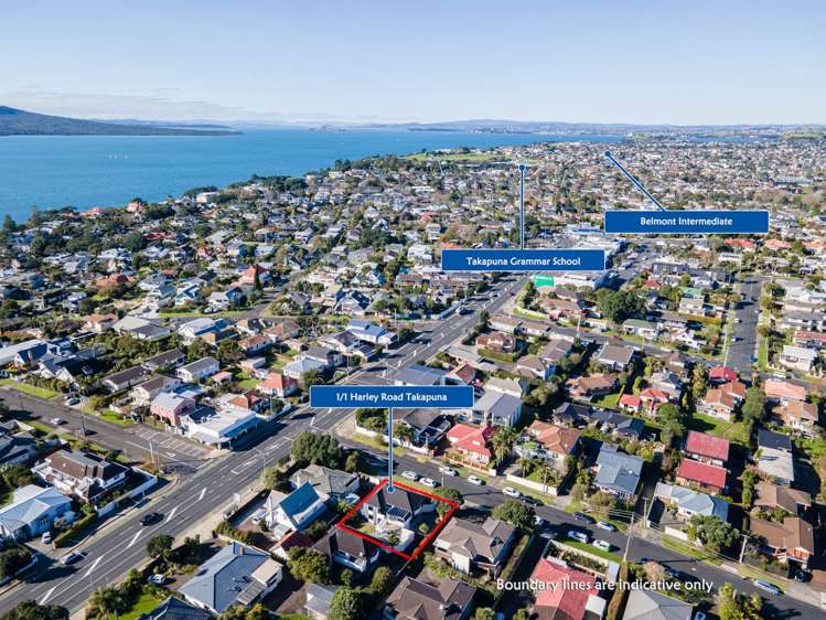 1/1 Harley Road Takapuna_19