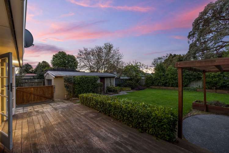 29 Richards Avenue_5