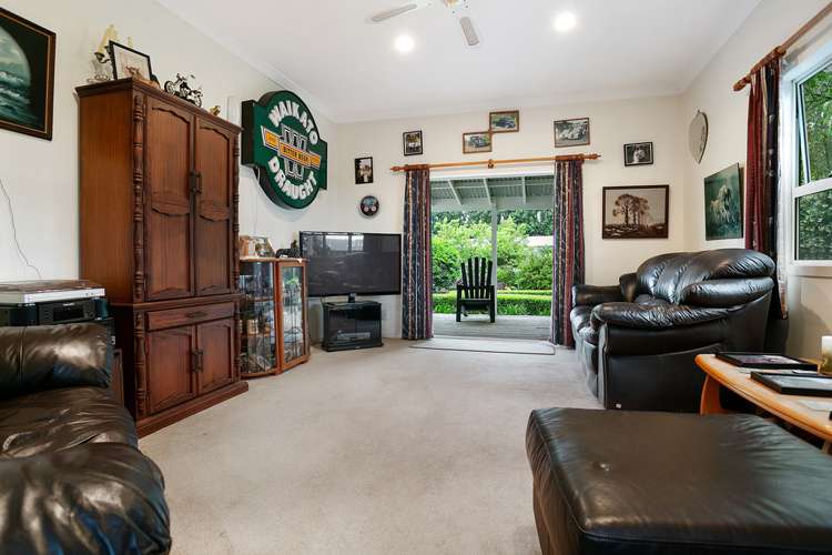 16 Ormsby Road Pirongia_10