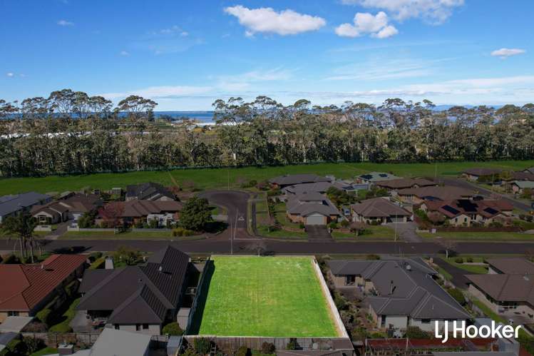 12 Longmynd Drive Katikati_6
