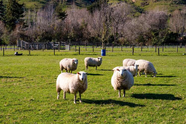 18 Hillwood Drive Wakapuaka_9