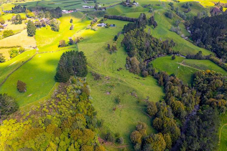 838 Mangorei Road Mangorei_21