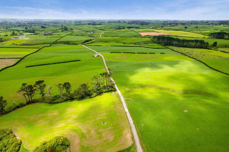 358 Opunake Road Cardiff_25