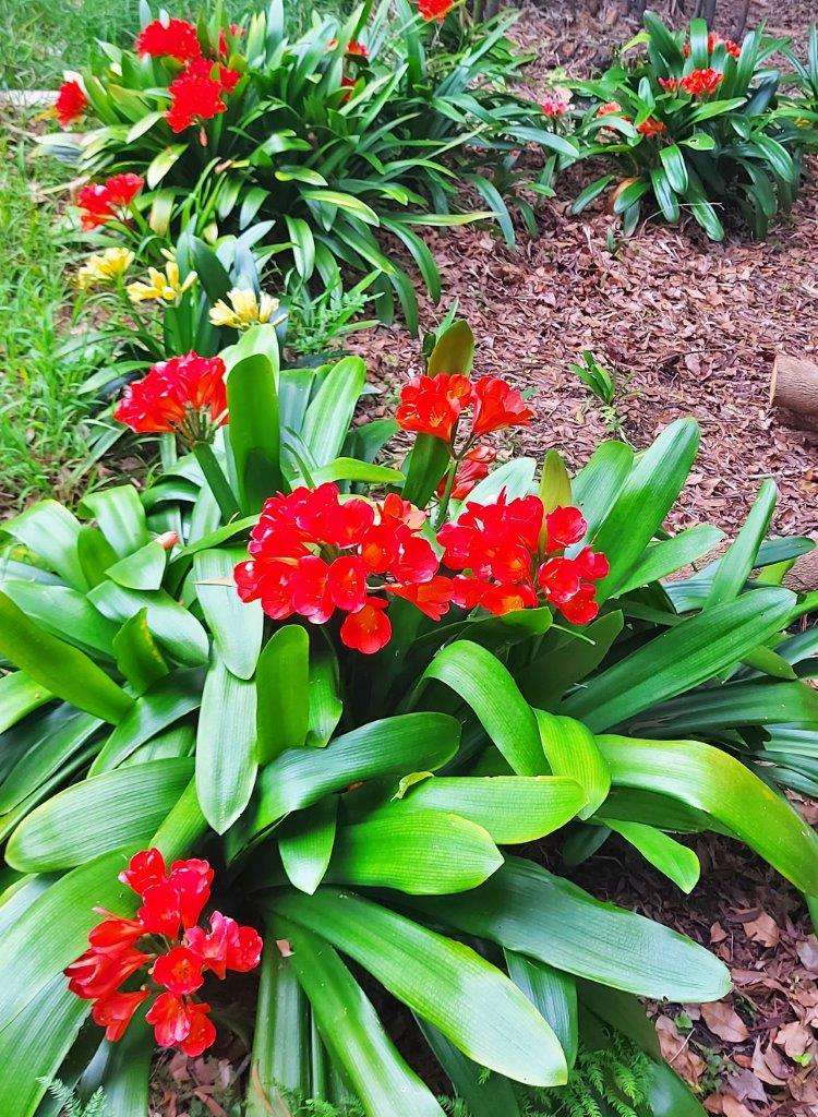 308 Henderson Bay Road Houhora_25