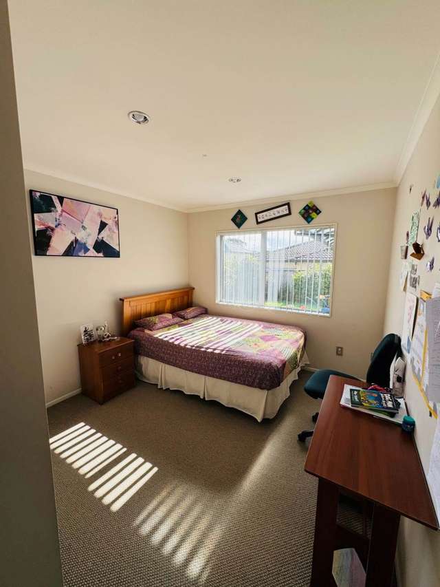 262 Murphys Road Flat Bush_3