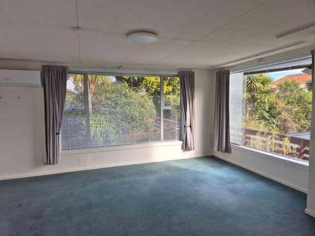 27 Kinvig Street Andersons Bay_4