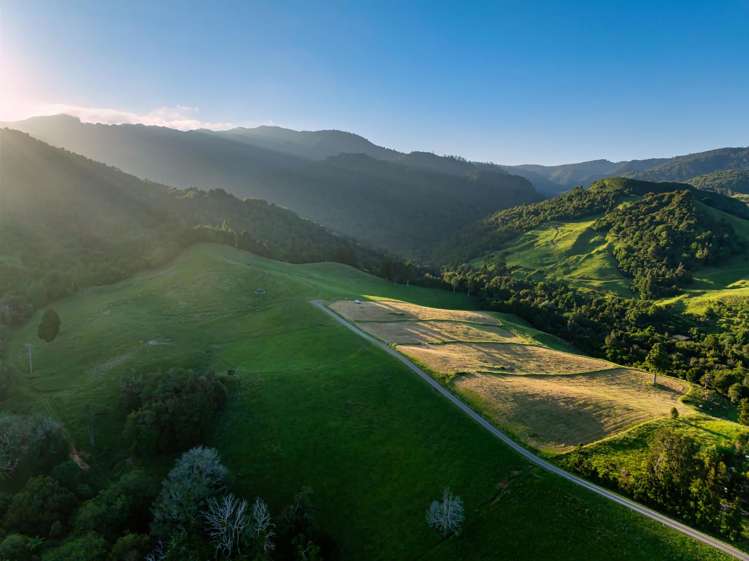 348D Rea Road Katikati_5