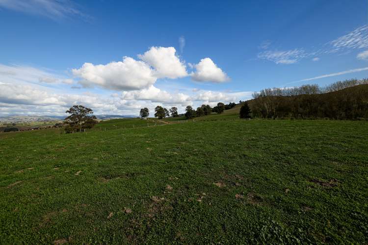 484 Newman Road Wharepuhunga_15