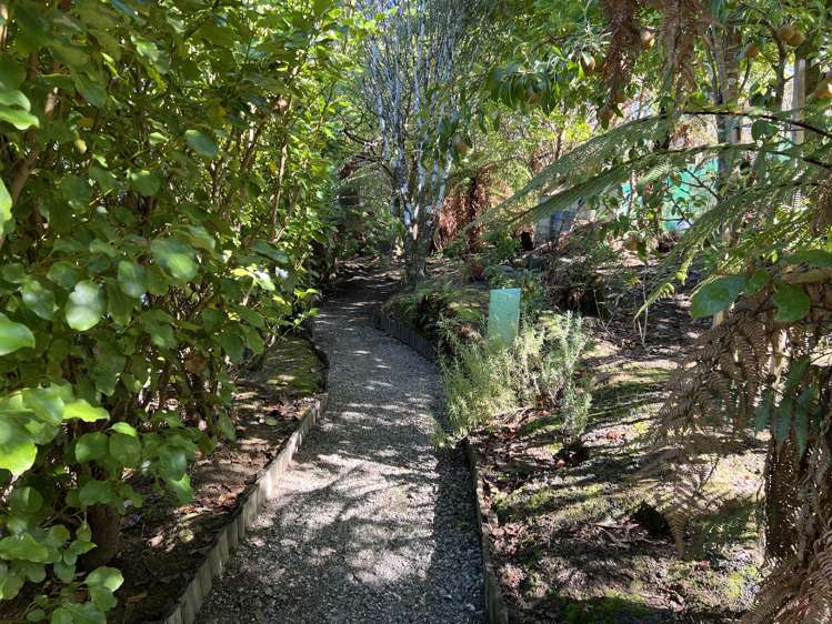 50 Pitt Street Runanga_23