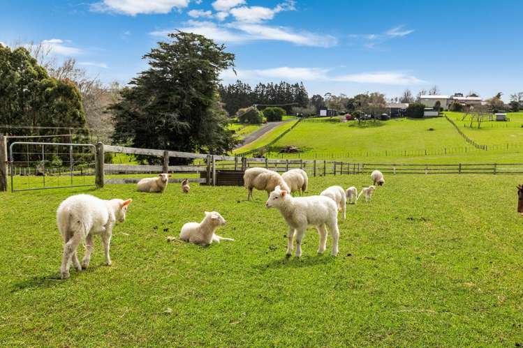 24B Eggleton Road Patumahoe_18