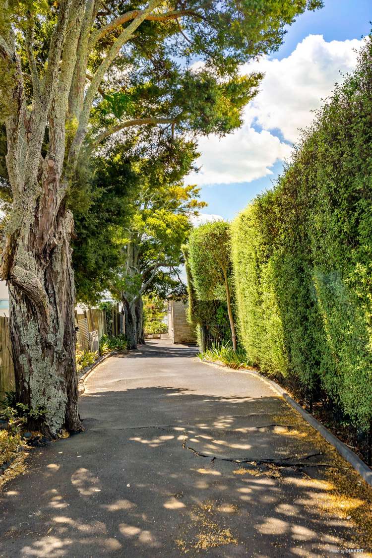 147a Arney Road Remuera_20