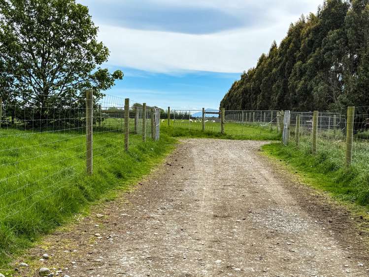 310 Drummond Oreti Road Oreti Plains_9