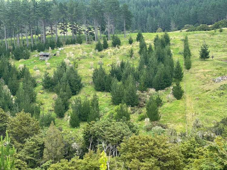 609a Bickerstaffe Road Maungaturoto_15