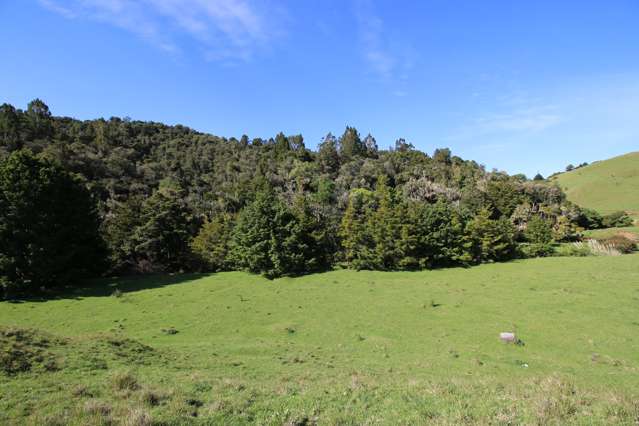 Otangaroa Road Kaeo_3