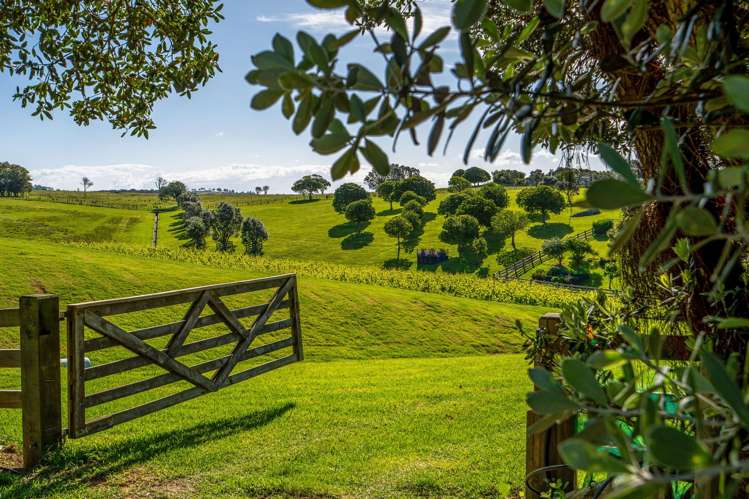 Share 2 Moturoa Island Russell_10