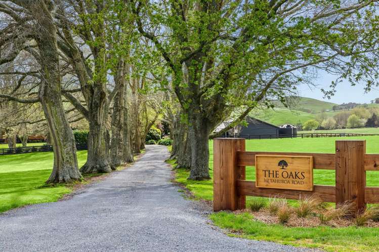 161 Tahuroa Road Tauwhare_2