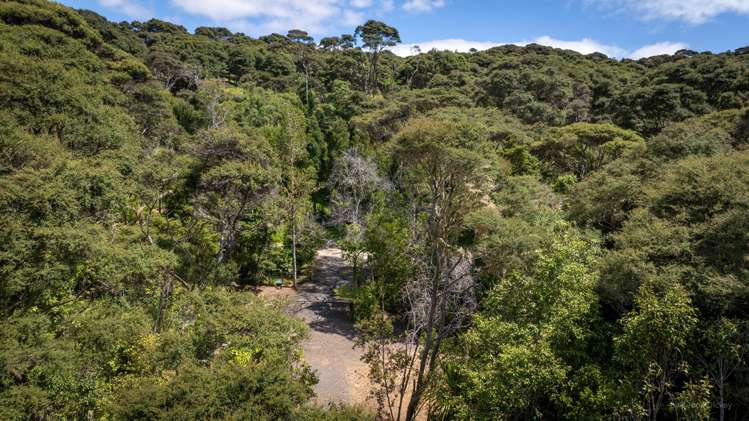 Te Akau Wharf Road Te Akau_8