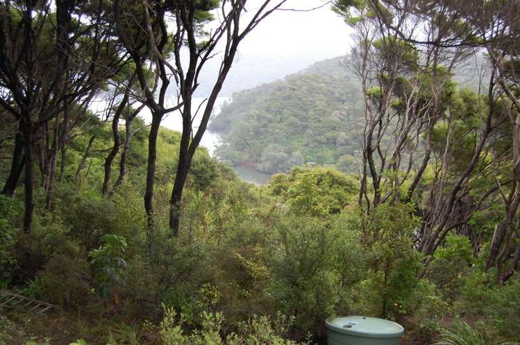 4 Harpoon Hill Great Barrier Island (Aotea Island)_7