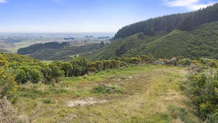 106 Harrison Hill Road Aokautere_5