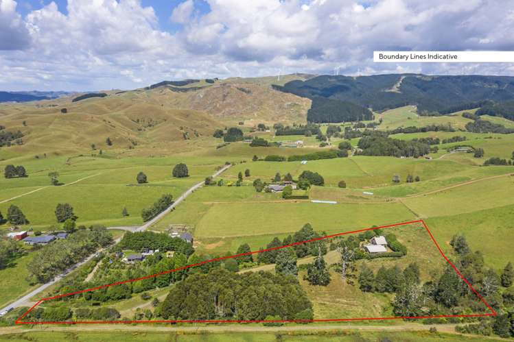 48 Pond Road Raglan_1