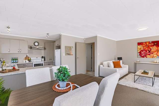 13B Huatoki Street Vogeltown_3