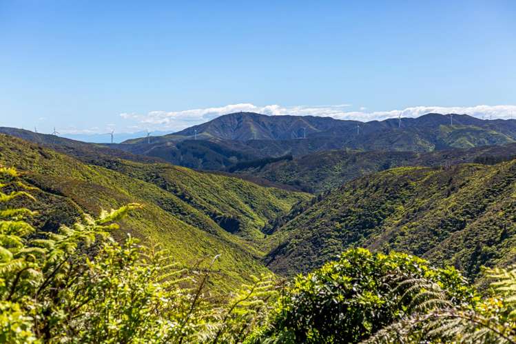 80 Southernthread Road Brooklyn_22