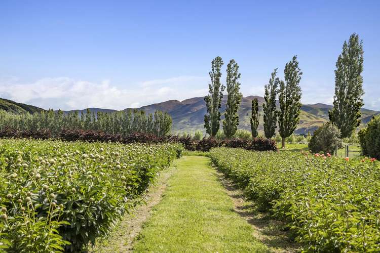 42D Gladsmuir Road Queensberry_7