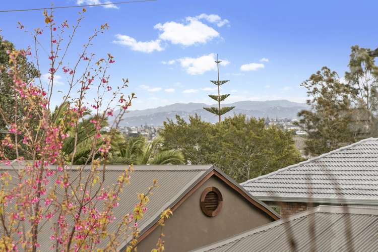 3/12 Kingsview Road Mount Eden_1